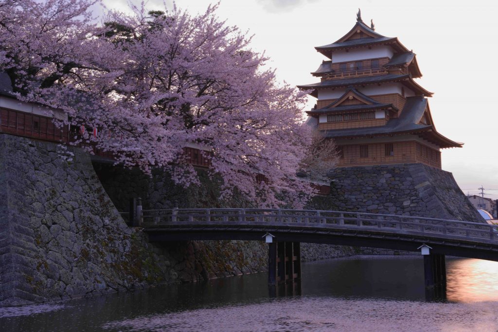 高島城　桜